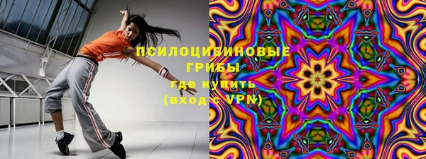 индика Абдулино