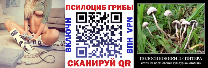 Псилоцибиновые грибы Psilocybe Бавлы